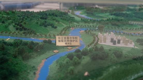 长航3.jpg